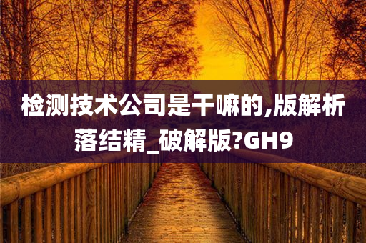 检测技术公司是干嘛的,版解析落结精_破解版?GH9