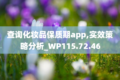 查询化妆品保质期app,实效策略分析_WP115.72.46