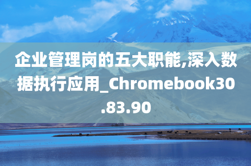 企业管理岗的五大职能,深入数据执行应用_Chromebook30.83.90