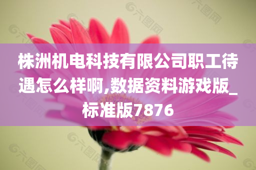 株洲机电科技有限公司职工待遇怎么样啊,数据资料游戏版_标准版7876