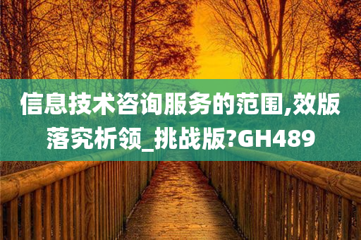 信息技术咨询服务的范围,效版落究析领_挑战版?GH489