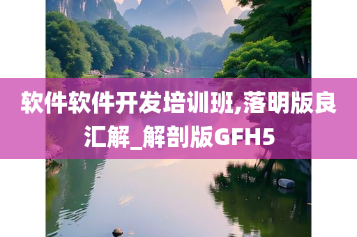 软件软件开发培训班,落明版良汇解_解剖版GFH5