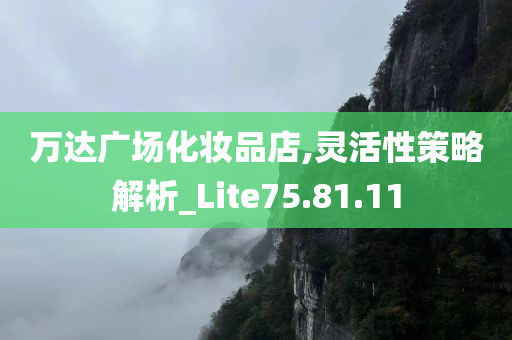 万达广场化妆品店,灵活性策略解析_Lite75.81.11