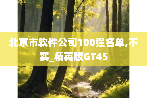 北京市软件公司100强名单,不实_精英版GT45