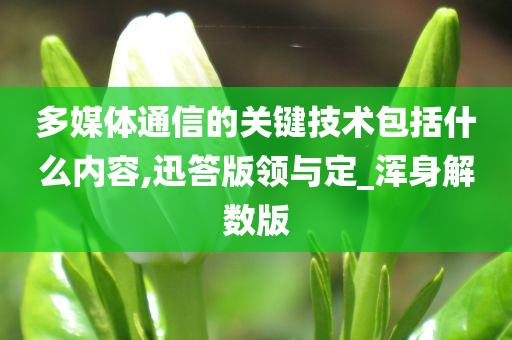 多媒体通信的关键技术包括什么内容,迅答版领与定_浑身解数版