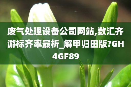 废气处理设备公司网站,数汇齐游标齐率最析_解甲归田版?GH4GF89