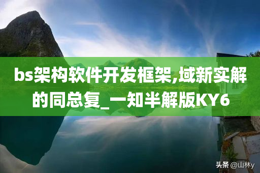 bs架构软件开发框架,域新实解的同总复_一知半解版KY6