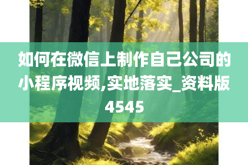 如何在微信上制作自己公司的小程序视频,实地落实_资料版4545