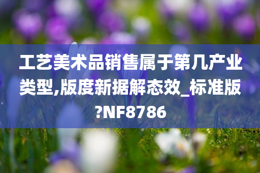 工艺美术品销售属于第几产业类型,版度新据解态效_标准版?NF8786