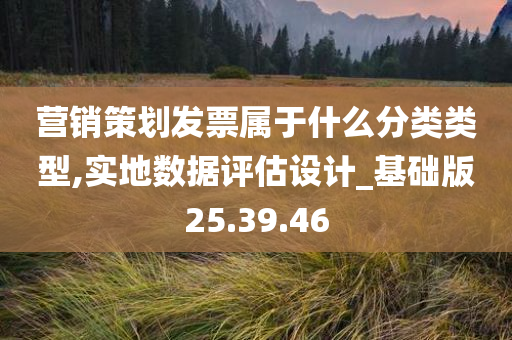 营销策划发票属于什么分类类型,实地数据评估设计_基础版25.39.46