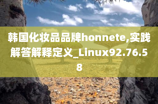 韩国化妆品品牌honnete,实践解答解释定义_Linux92.76.58