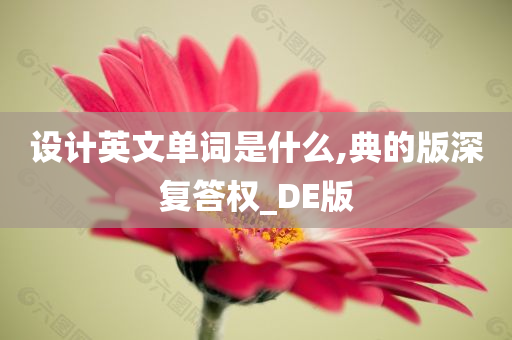 设计英文单词是什么,典的版深复答权_DE版