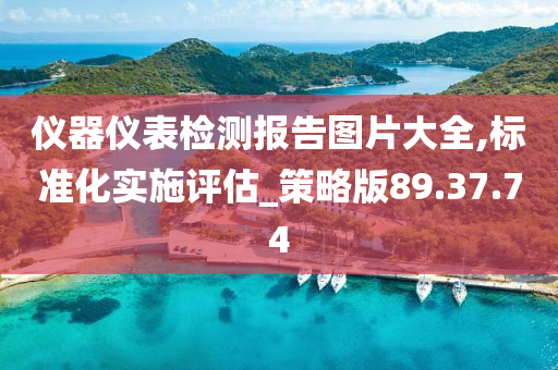 仪器仪表检测报告图片大全,标准化实施评估_策略版89.37.74