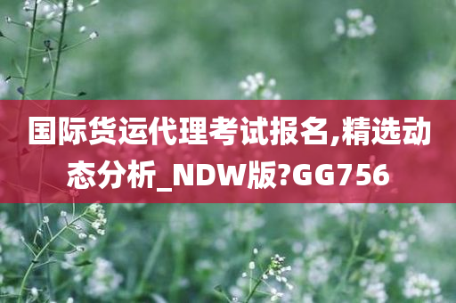 国际货运代理考试报名,精选动态分析_NDW版?GG756