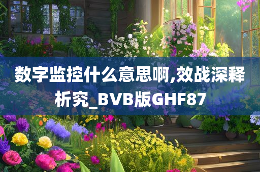 数字监控什么意思啊,效战深释析究_BVB版GHF87