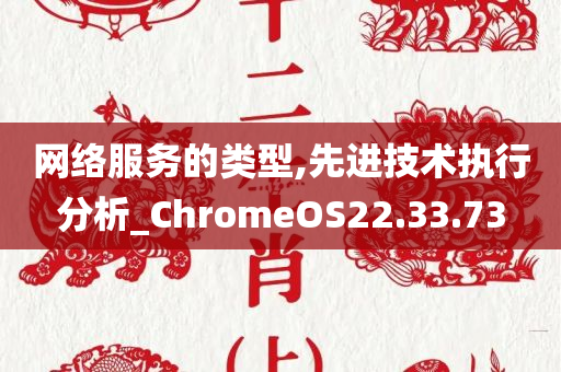 网络服务的类型,先进技术执行分析_ChromeOS22.33.73