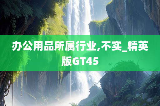 办公用品所属行业,不实_精英版GT45