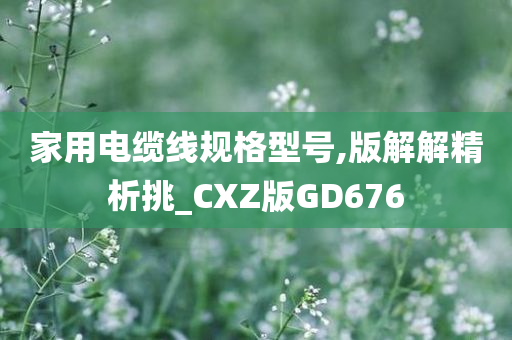 家用电缆线规格型号,版解解精析挑_CXZ版GD676