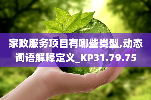 家政服务项目有哪些类型,动态词语解释定义_KP31.79.75