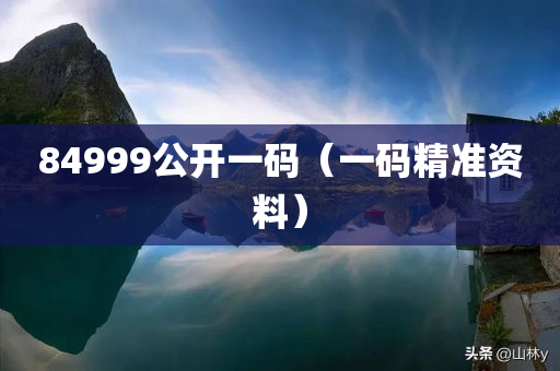 84999公开一码（一码精准资料）