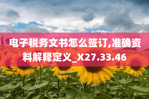 电子税务文书怎么签订,准确资料解释定义_X27.33.46