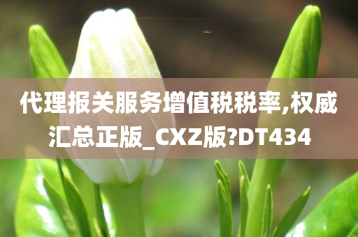 代理报关服务增值税税率,权威汇总正版_CXZ版?DT434