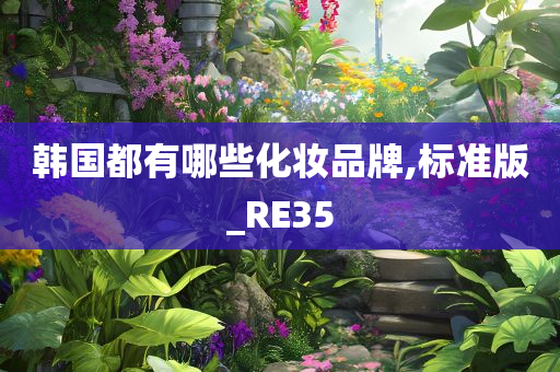 韩国都有哪些化妆品牌,标准版_RE35