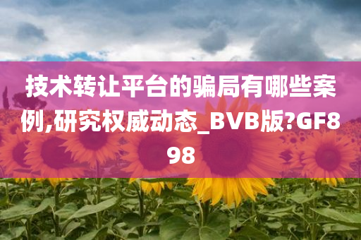 技术转让平台的骗局有哪些案例,研究权威动态_BVB版?GF898