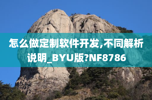 怎么做定制软件开发,不同解析说明_BYU版?NF8786