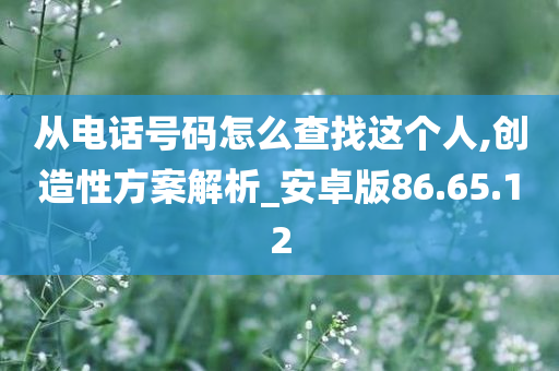 从电话号码怎么查找这个人,创造性方案解析_安卓版86.65.12