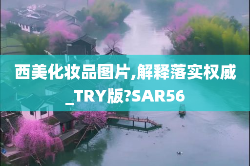 西美化妆品图片,解释落实权威_TRY版?SAR56