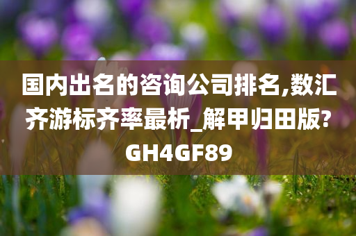 国内出名的咨询公司排名,数汇齐游标齐率最析_解甲归田版?GH4GF89