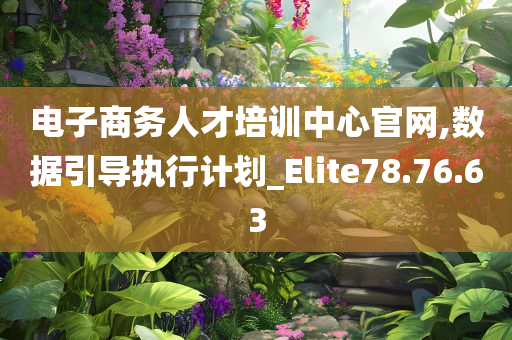 电子商务人才培训中心官网,数据引导执行计划_Elite78.76.63