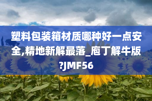 塑料包装箱材质哪种好一点安全,精地新解最落_庖丁解牛版?JMF56