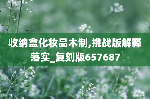 收纳盒化妆品木制,挑战版解释落实_复刻版657687