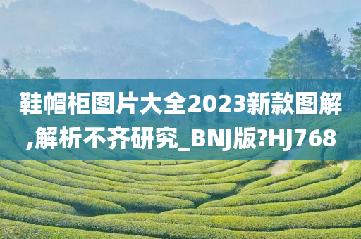 鞋帽柜图片大全2023新款图解,解析不齐研究_BNJ版?HJ768