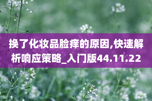 换了化妆品脸痒的原因,快速解析响应策略_入门版44.11.22