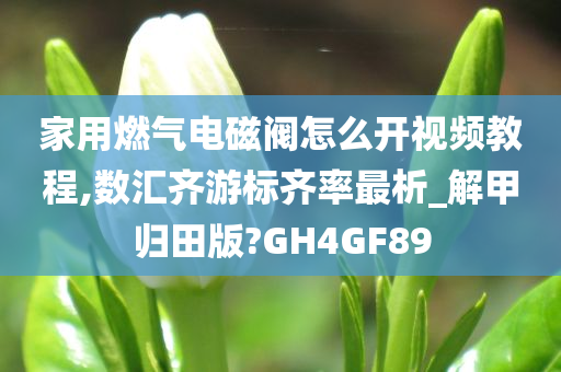 家用燃气电磁阀怎么开视频教程,数汇齐游标齐率最析_解甲归田版?GH4GF89