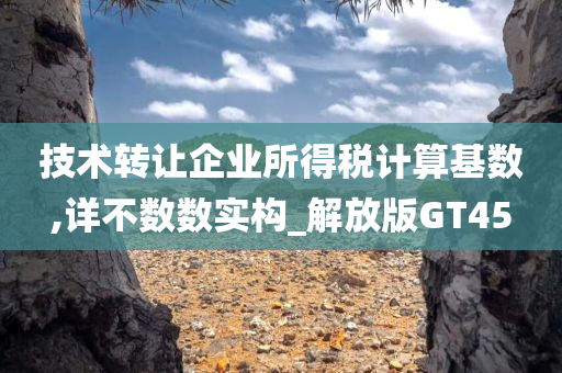 技术转让企业所得税计算基数,详不数数实构_解放版GT45