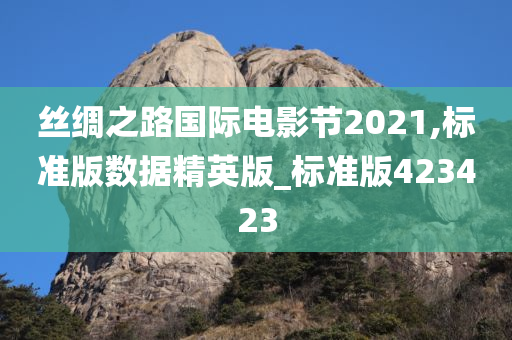 丝绸之路国际电影节2021,标准版数据精英版_标准版423423