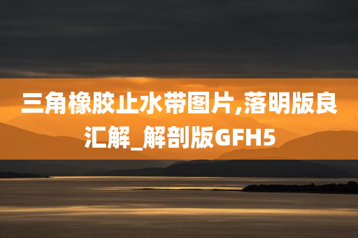 三角橡胶止水带图片,落明版良汇解_解剖版GFH5