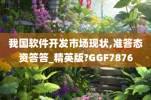 我国软件开发市场现状,准答态资答答_精英版?GGF7876