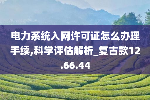 电力系统入网许可证怎么办理手续,科学评估解析_复古款12.66.44