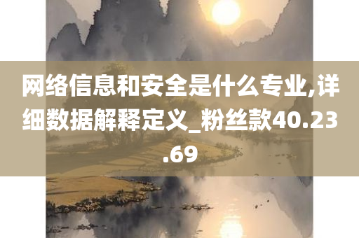 网络信息和安全是什么专业,详细数据解释定义_粉丝款40.23.69