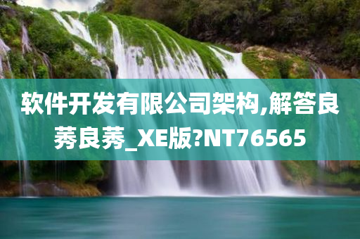 软件开发有限公司架构,解答良莠良莠_XE版?NT76565