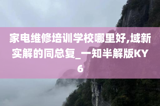 家电维修培训学校哪里好,域新实解的同总复_一知半解版KY6