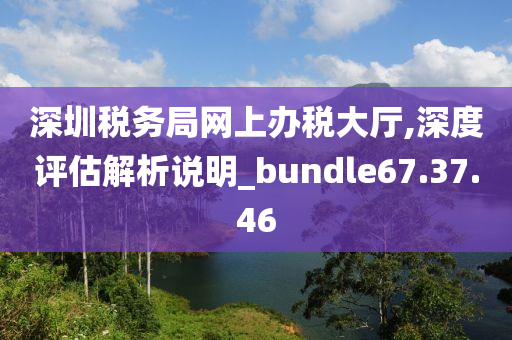 深圳税务局网上办税大厅,深度评估解析说明_bundle67.37.46