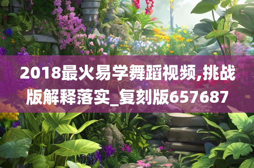 2018最火易学舞蹈视频,挑战版解释落实_复刻版657687