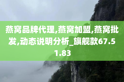 燕窝品牌代理,燕窝加盟,燕窝批发,动态说明分析_旗舰款67.51.83