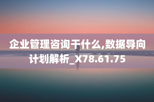 企业管理咨询干什么,数据导向计划解析_X78.61.75